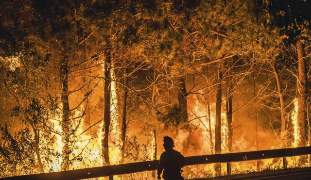 INCENDIOS 