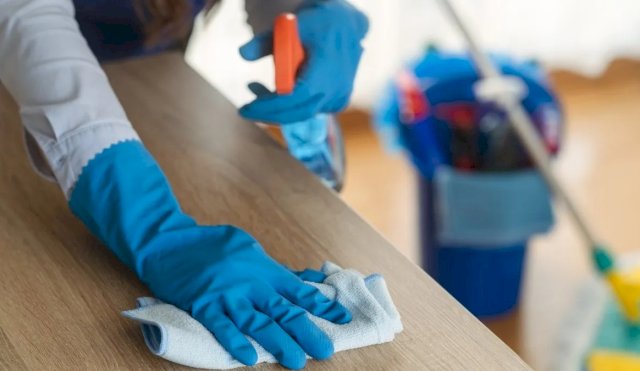 EMPLEO DOMESTICO